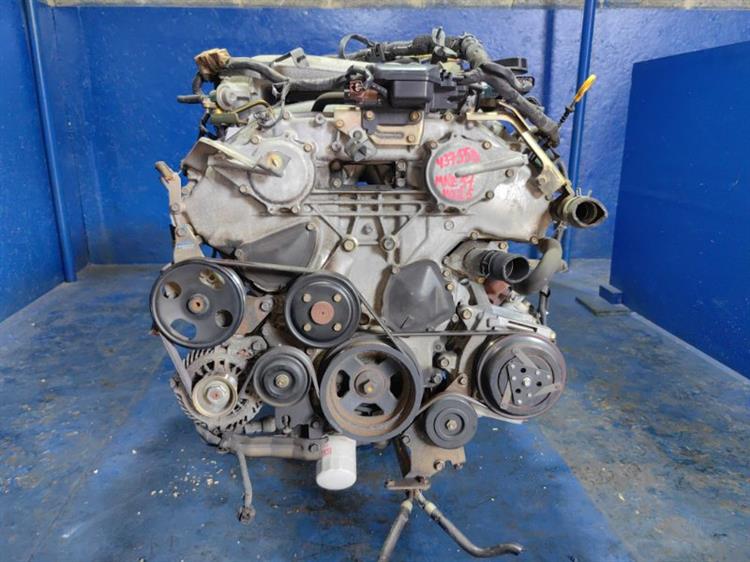 Двигатель Ниссан Эльгранд в Волгодонске 437558